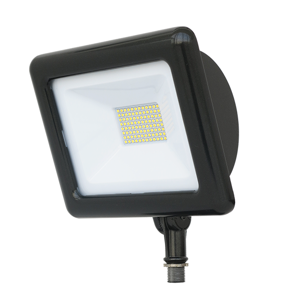 LED Flood Light