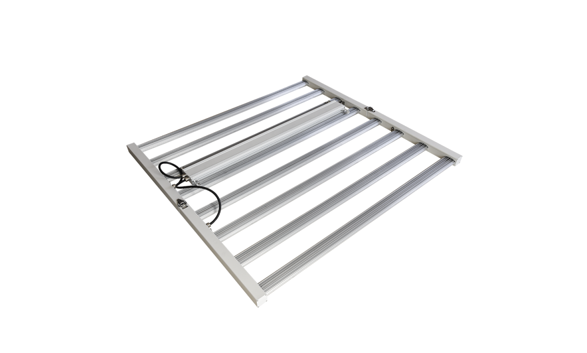 LEDZW004A