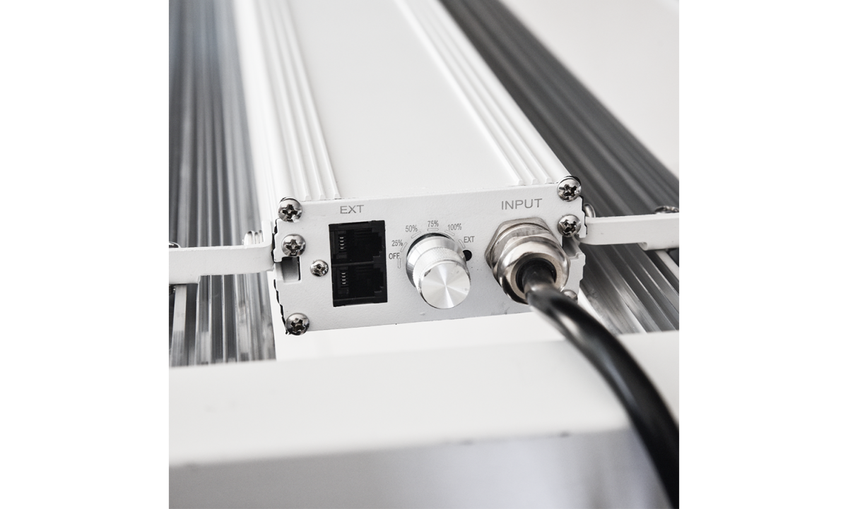 LEDZW004A
